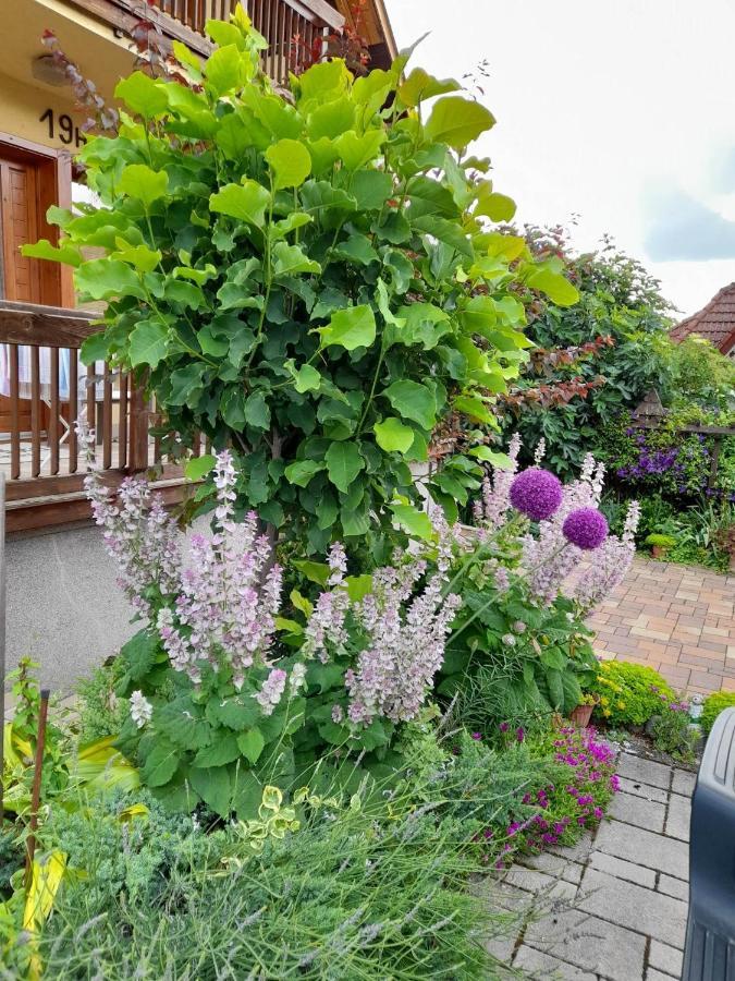 Apartamento Harmonia Vendeghaz 100 Meterre Az Igali Gyogyfuerdotol Exterior foto
