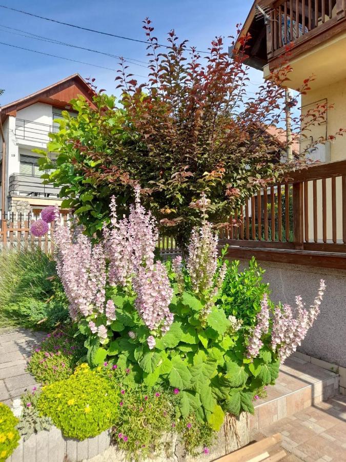 Apartamento Harmonia Vendeghaz 100 Meterre Az Igali Gyogyfuerdotol Exterior foto