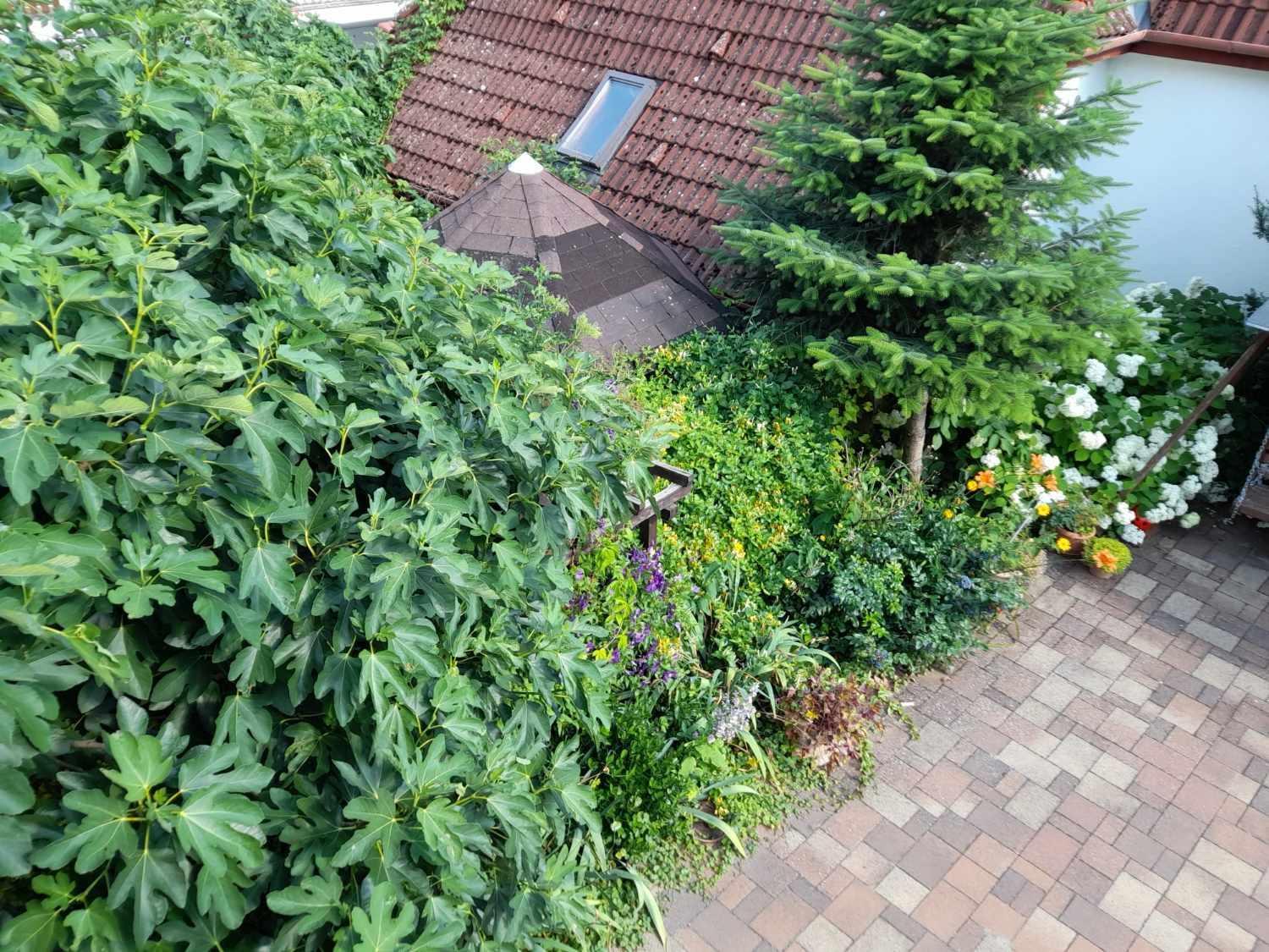 Apartamento Harmonia Vendeghaz 100 Meterre Az Igali Gyogyfuerdotol Exterior foto